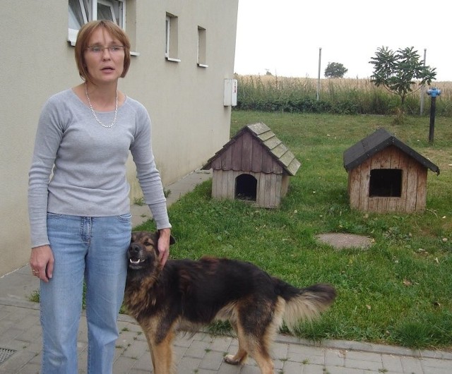 - Samochód ułatwi nam pracę - cieszy się Magdalena Kleszko, kierownik schroniska dla zwierząt. - W każdej chwili będziemy mogli przewieźć zwierzęta, choćby do lekarza w mieście.