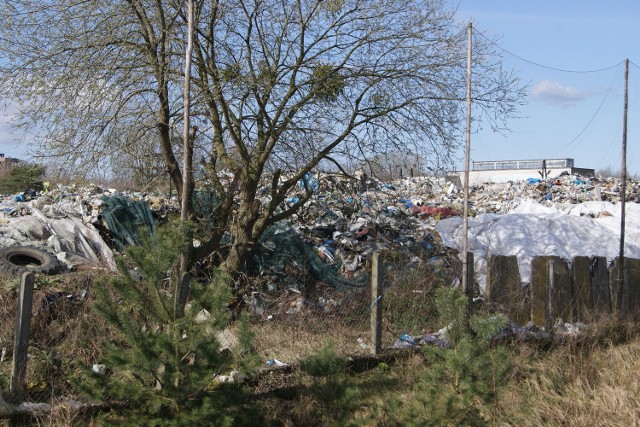 Tak wygląda składowisko w Policach. Śmieci leżą na ziemi, odcieki grożą zatruciem wód gruntowych. Zarząd powiatu uważa, że jest OK.