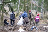 "Łączą Nas Drzewa". Harcerze z Krajny posadzili 16 tysięcy sadzonek dębu i buka [zdjęcia]