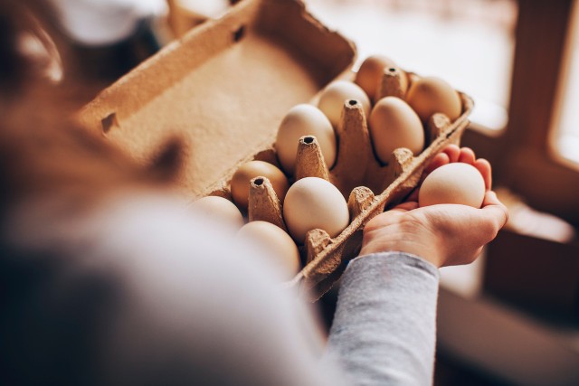 Jak długo i w jaki sposób przechowywać jaja? Przeczytajcie nasz poradnik, by uniknąć podstawowych błędów!