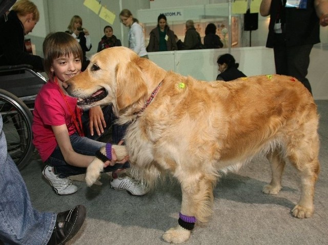 Psy&#8211;terapeuci doskonale współpracują z dziećmi. Terapia z psem pomaga na przykład w łagodzeniu trudności szkolnych.
