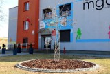 Białe Brzegi.  Miejsko-Gminny Ośrodek w Białobrzegach zmienia nazwę. Wybrali ją mieszkańcy