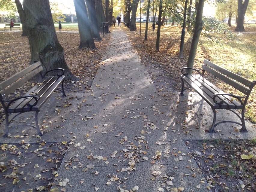 Park Tadeusza Kościuszki w Krakowie znów bez śniegu. Można w nim spędzić aktywnie czas, nie tylko na spacerze [ZDJĘCIA]