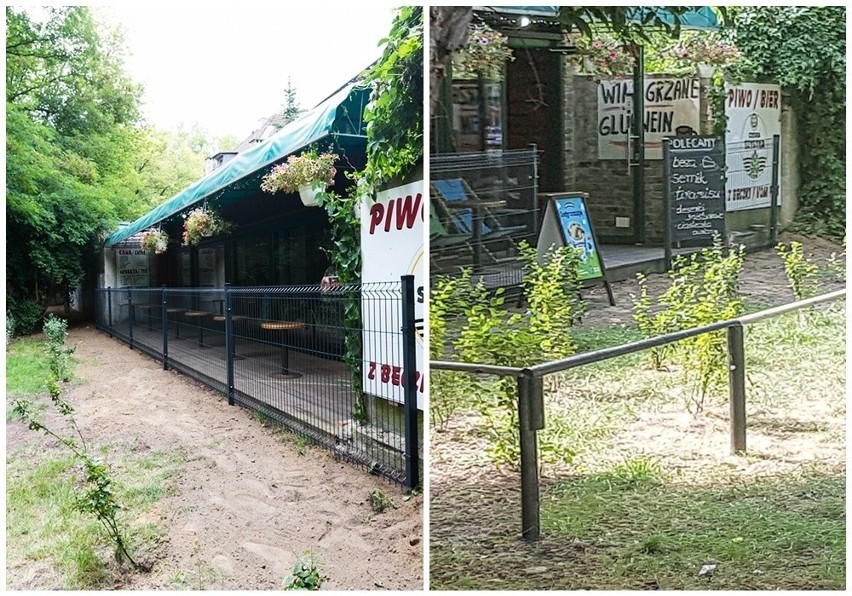 Właściciel kawiarni "Cafe pod ptakami" czuje się zaszczuty przez urzędników miasta