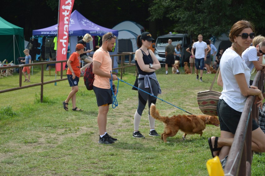 "Latające psy" 2018 w gdyńskim Parku Kolibki, czyli emocjonujące zawody w dogfrisbee