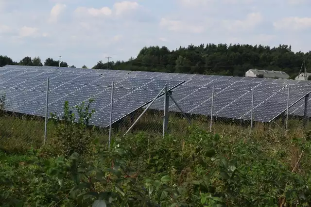 Farma fotowoltaiczna w Turowie koło Szczecinka