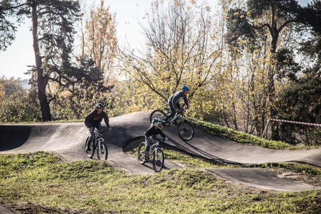 Zdjęcie ilustracyjne/W lasku miejskim w Brodnicy za Przedsiębiorstwem Gospodarki Komunalnej Sp. z o.o. ma powstać singletrack z elementami pumptracku, a także z placem odpoczynku