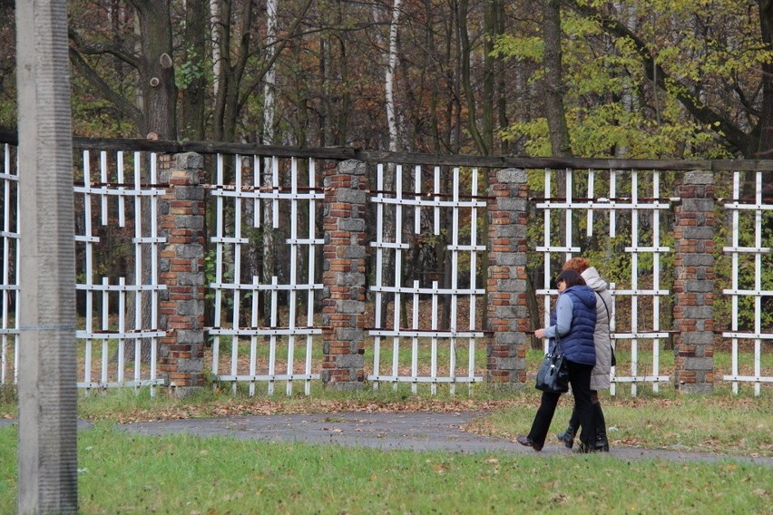 Tak wygląda park Zielona w jesiennych barwach