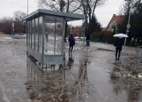 Przystanek wenecki we Wrocławiu. "Zamiast autobusów, powinny tu przypływać łodzie!" [ZDJĘCIA]