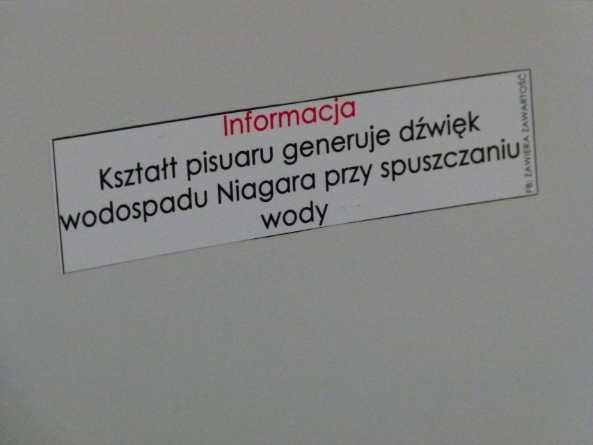 W Urzędzie Miasta Łodzi pisuar jak Niagara... [zdjęcia]