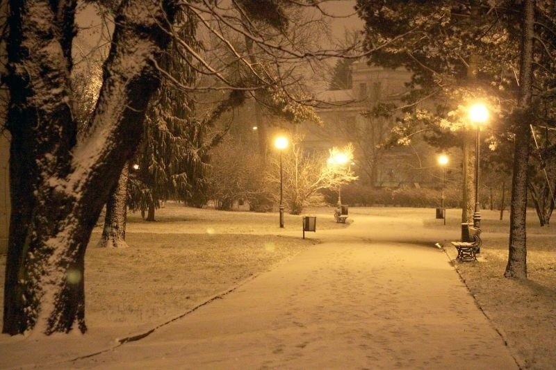 Zima zawitała do Łodzi! Sypie śnieg. Uwaga na śliskie jezdnie [zdjęcia]