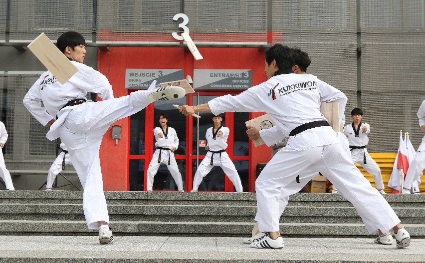 Widowiskowy pokaz wschodniej sztuki walki taekwondo w...