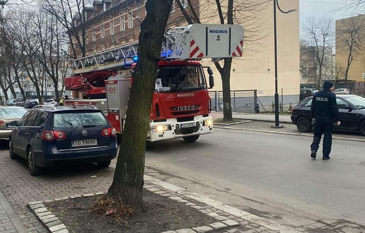 Po interwencji OTOZ Animals na miejscu zdarzenia pojawili...