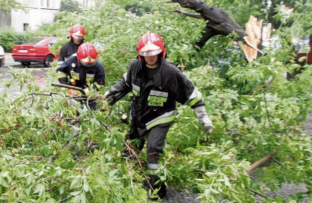 Strażacy w całej Małopolsce usuwali z dróg połamane drzewa i konary