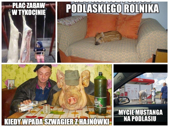 Nowe memy o Podlasiu. Obrazki i demotywatory szkalujące nasz region - Podlasie na wesoło! 