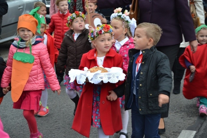 Bytom: parafialne dożynki w Stolarzowicach [ZDJĘCIA]