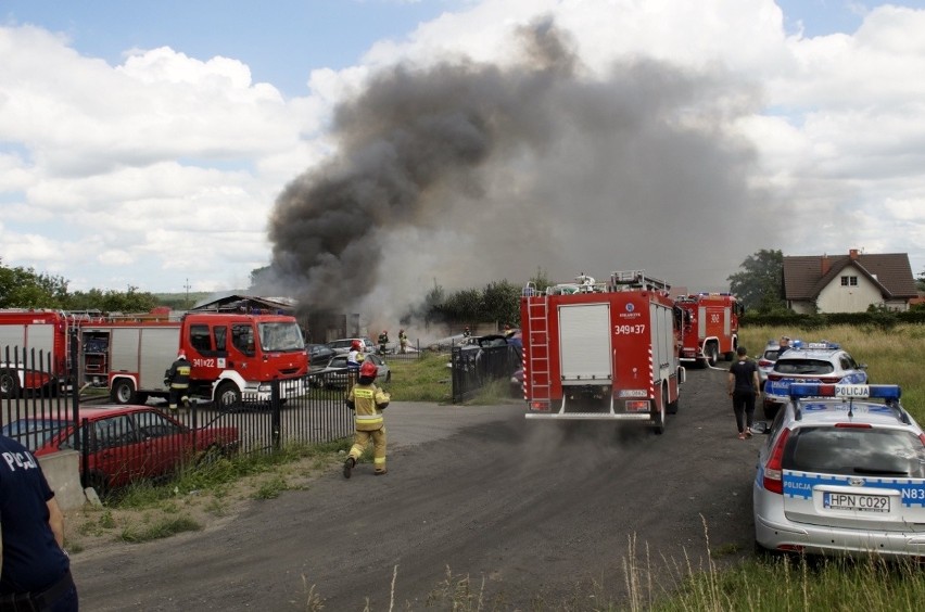 Pożar w Łosinie. 8 zastępów straży pożarnej ratowało mienie. Ewakuowano mieszkańców pobliskiego domu