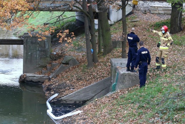 Dziś MPWiK wykonało także własne badania wody z Oławy, które także nie wykazały obecności szkodliwych substancji. - Potwierdziły, że woda jest bezpieczna i znów może wrócić do wrocławskich mieszkań - uspokaja rzecznik prasowa.