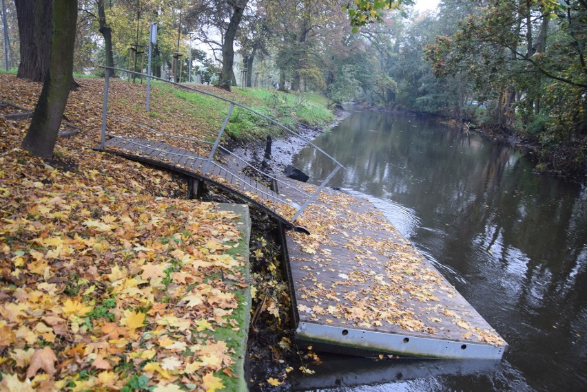 Jesień w stargardzkich parkach