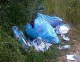 Nie nadążają ze sprzątaniem śmieci wokół kąpieliska w Ostrowie