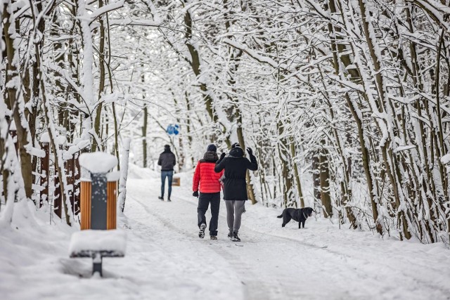 Prognoza pogody na piątek. W wielu miejscach w Polsce wystąpią opady śniegu, deszczu, a gdzieniegdzie pojawią się marznące mżawki.