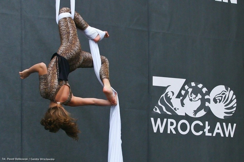 Wrocław: Główna brama do zoo znów otwarta (ZDJĘCIA)