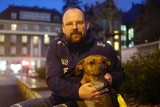 Park Wilsona w Poznaniu otwarty dla każdego psa? Regulamin dotyczący wyprowadzania zwierząt ma zostać zmieniony