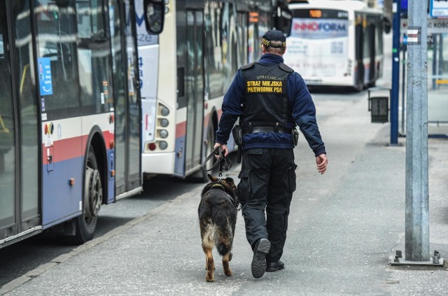 Straż Miejska w Bydgoszczy ogłosiła nabór na stanowisko strażnik miejski - aplikant (6 etatów). Jakie wymagania/formalności trzeba spełnić, by zostać strażnikiem miejskim? Do kiedy jest czas na składanie podania? Zobaczcie!Przesuń zdjęcie gestem lub naciśnij strzałkę w prawo