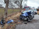 Wypadek w Budziszynku, w gminie Chynów, w powiecie grójeckim. Samochód uderzył w drzewo, ranny kierowca zabrany do szpitala