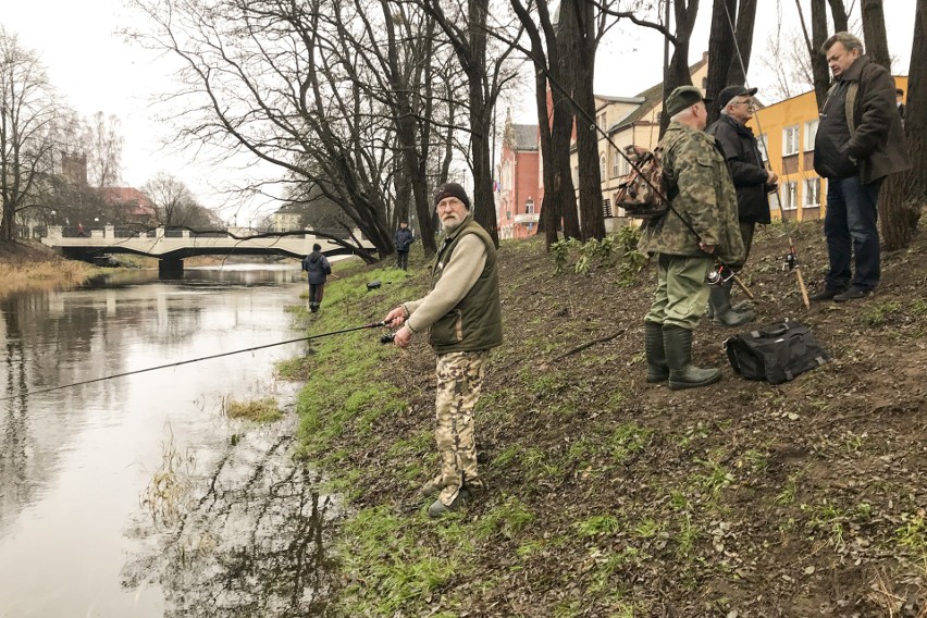 Sezon na połów troci i łososia w Słupi rozpoczęty