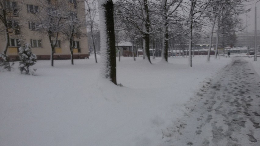 Jastrzębie: Śliska nawierzchnia, miasto zasypane śniegiem