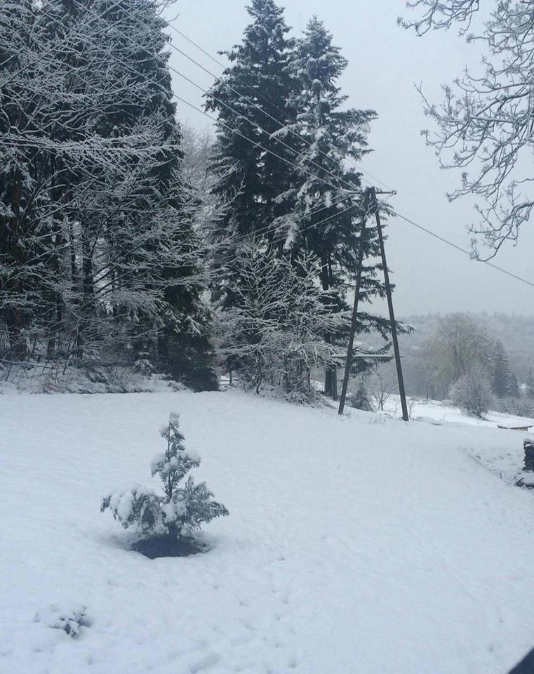 Zima w Beskidach - Żywiecczyzna oprószona śniegiem [ZDJĘCIA]