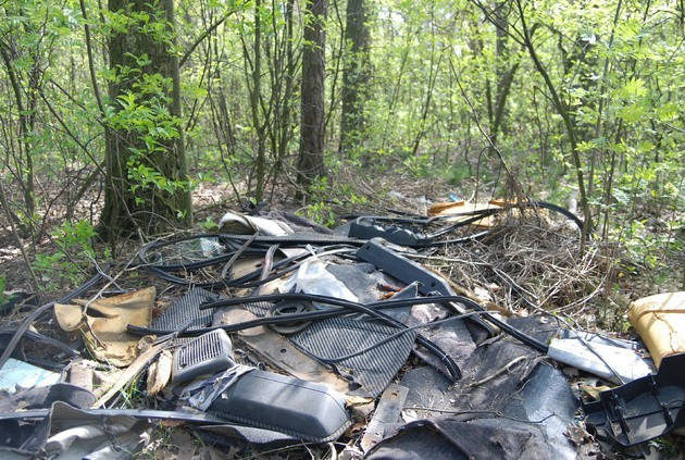Plaga w naszych lasach - tony śmieci. Polacy wyrzucają gdzie...