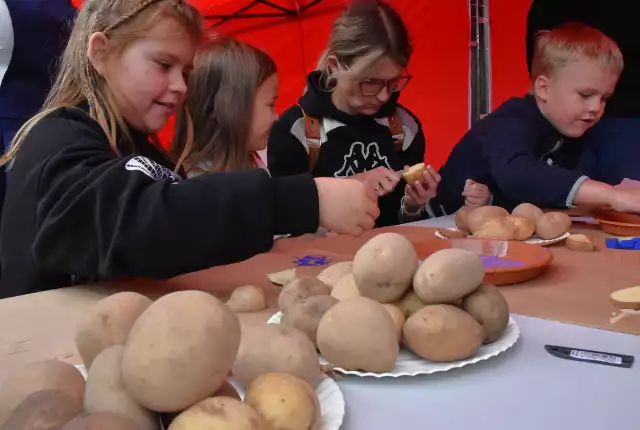 Podczas Święta Pieczonego Ziemniaka dobrze bawili się najmłodsi i ci trochę starsi mieszkańcy gminy Złotniki Kujawskie
