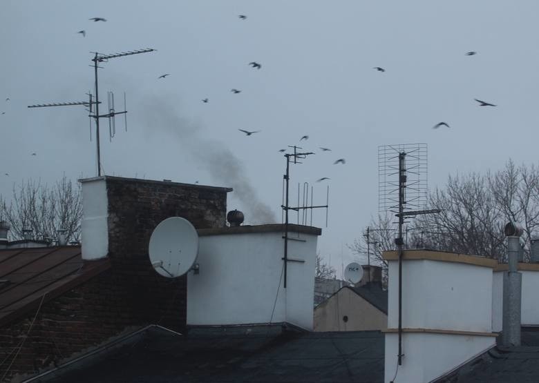 Smog w Lublinie. Powietrze znów bardzo zanieczyszczone