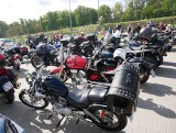 Wspaniałe maszyny w gminie Pawłów. Przyjechało sto pojazdów. Sezon motocyklowy rozpoczęty. Zobacz zdjęcia