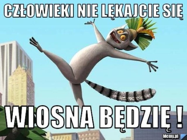 20 marca zawita do nas tak długo wyczekiwana wiosna. Ale czy na pewno pogoda zrobi się wiosenna? Temat wiosny jest bardzo dyskusyjny, bo często bardziej przypomina zimę. Na temat wiosny powstało mnóstwo memów. Zobaczcie najlepsze z nich. >>>ZOBACZ WIĘCEJ NA KOLEJNYCH SLAJDACH