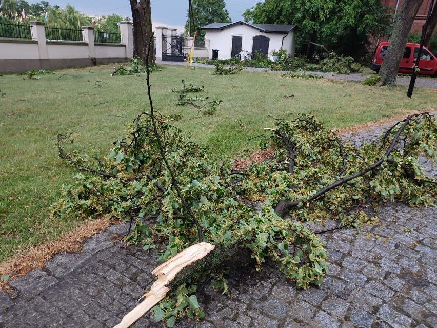 Skutki nawałnicy w Wągrowcu.