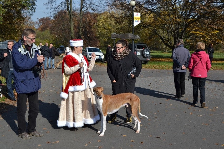 Hubertus 2013 w Świerklańcu. Gonitwy, psy myśliwskie i pokazy sokolnictwa [ZDJĘCIA]