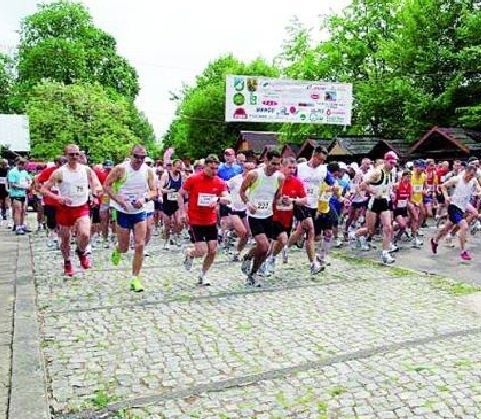 Ostry start tegorocznego Półmaratonu Hajnowskiego zaplanowano na sobotnie południe w białowieskim amfiteatrze