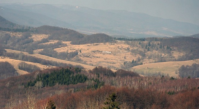 Wiosna na poloninachNa szczytach bieszczadzkich polonin lezą jeszcze resztki śniegu, ale wiosne czuc juz coraz bardziej.