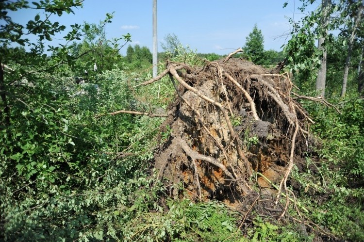 Trąbie powietrznej, która przeszła nad wsią w niedzielę nad...