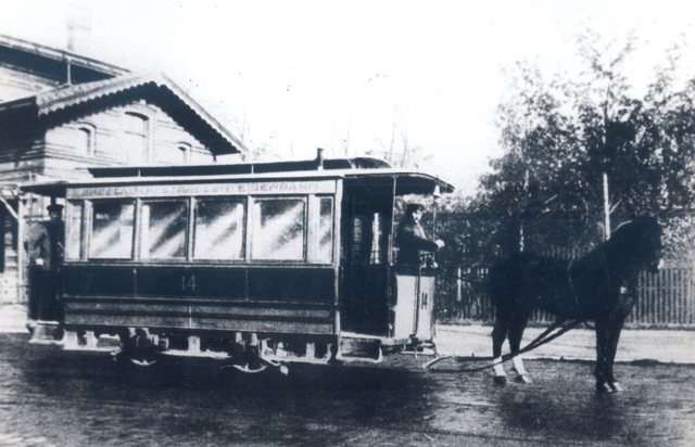 Pierwszy tramwaj konny został uruchomiony 10 lipca 1877 na trasie od ulicy Krasińskiego do zoo. Ostatnią linię konną zlikwidowano 30 czerwca 1906.