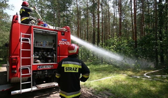 Strażacy w każdym powiecie szkolą się do przeprowadzania akcji gaśniczych w lesie. To jedne z takich ćwiczeń.