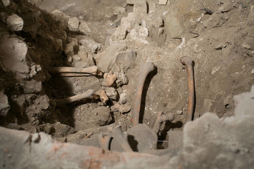 Niezwykłe odkrycie archeologów w kościele św. Benedykta [ZDJĘCIA]