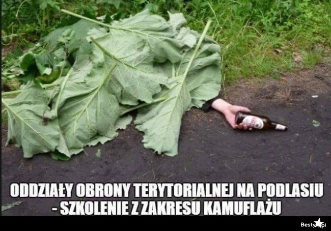 W naszym regionie rolników nie brakuje, wielu sobie...