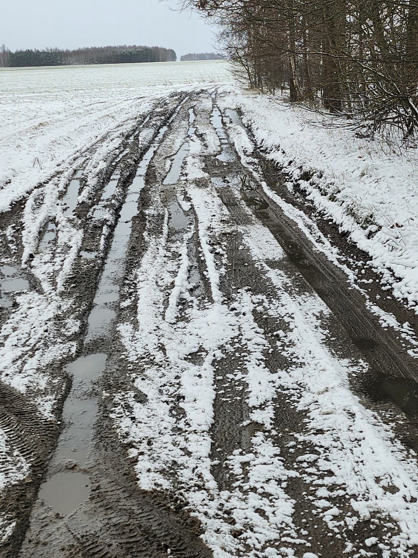 Zniszczona droga dojazdowa w miejscowości Rafałówka.