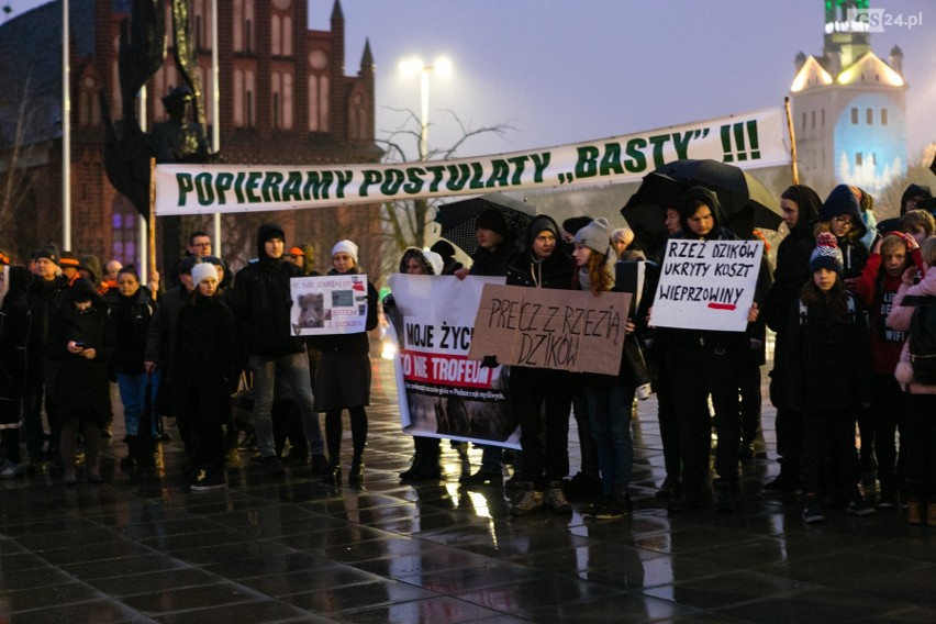 Szczecinianie protestują przeciw odstrzałowi dzików. "To barbarzyńskie rozporządzenie!" [ZDJĘCIA, WIDEO]