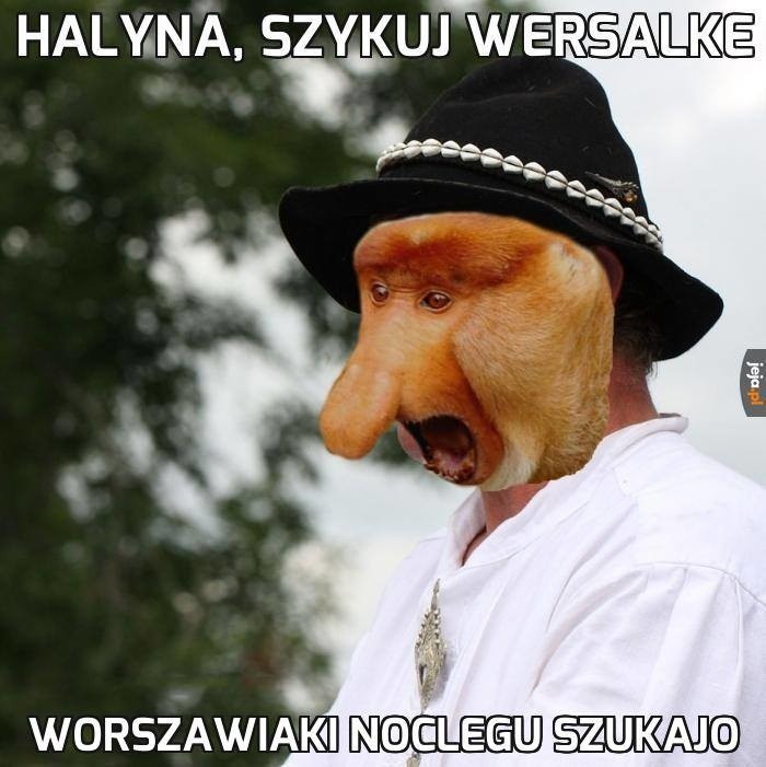 Co turyści myślą o Zakopanem? Te memy mówią wiele o mieście pod Giewontem