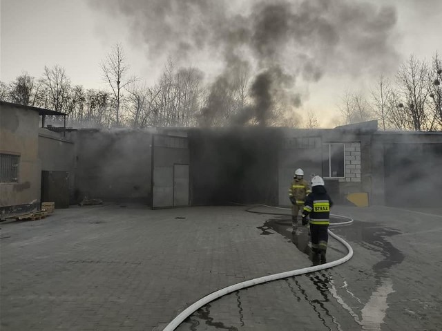 Do pożaru w hali zakładowej w Wierzbicy doszło przed godziną 6 rano, 20 marca.